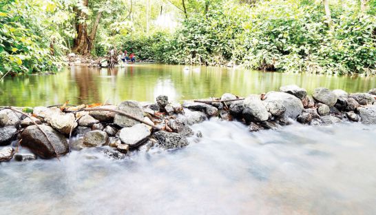 ក្បាលហុងទឹក កន្លែងភ្ញៀវទេសចរញ៉ាំអាហារលម្ហែកាយ ក្បែរទឹកផុសថ្លាឈ្វេង | ក្រសួងបរិស្ថាន